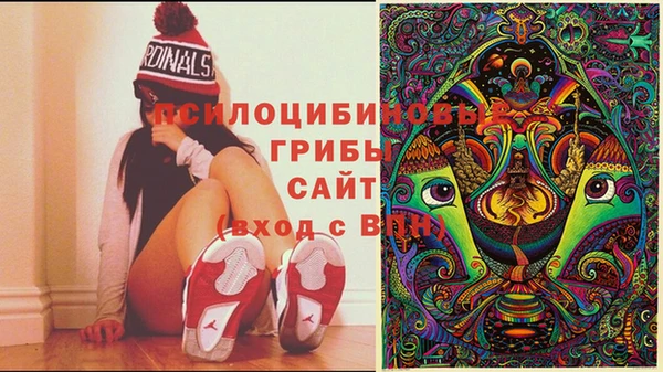 не бодяженный Инсар